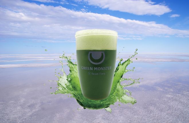 湖の中のグリーンモンスター