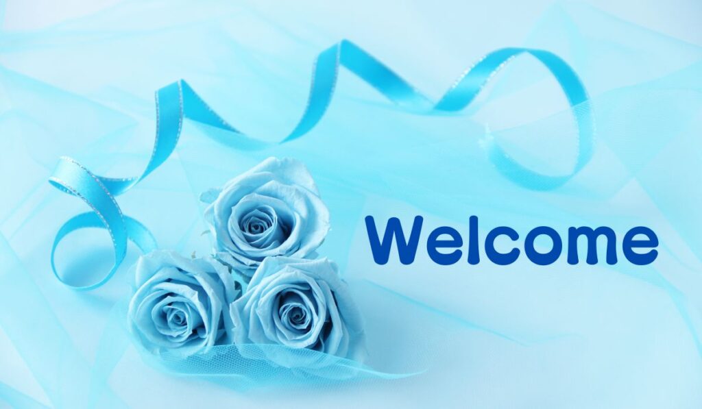 リピート購入大歓迎