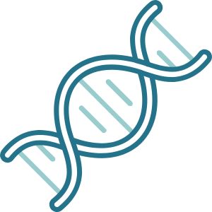 サーチュイン遺伝子